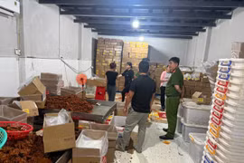 Công an TP Hồ Chí Minh xử lý hơn 30,5 tấn thực phẩm không rõ nguồn gốc tại kho lạnh
