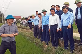Ngành Nông nghiệp và Môi trường Quảng Trị: Vượt thách thức, giữ nhịp tăng trưởng bền vững