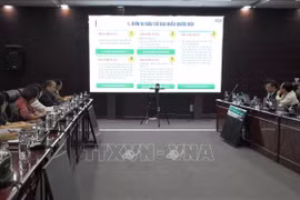 Tập huấn tổ chức bầu cử đại biểu Quốc hội và HĐND