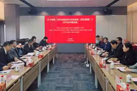 Hà Nội tham khảo kinh nghiệm của Thượng Hải cho quy hoạch Thủ đô tầm nhìn 100 năm