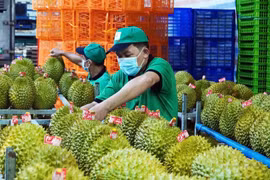 Giá sầu riêng hôm nay 30/12: Sầu Thái bứt phá lên 97.000 đồng/kg