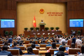 Quốc hội quyết định thí điểm luật sư công tại 8 Bộ, 10 địa phương