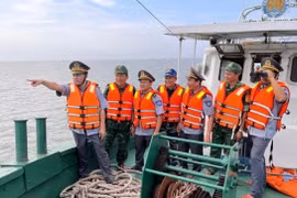 Ninh Bình: Tập trung thực hiện chống khai thác hải sản bất hợp pháp, quyết liệt gỡ “Thẻ vàng” IUU