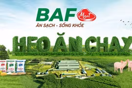 Nông nghiệp BaF (BAF): Thay 'tướng' khi lãi ròng lao dốc, dòng tiền kinh doanh âm gần 600 tỷ đồng, vẫn đặt kế hoạch lợi nhuận vượt mốc 1.000 tỷ