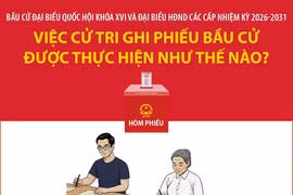 Việc cử tri ghi phiếu bầu cử được thực hiện như thế nào?