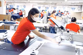 Miễn thuế 3 năm cho doanh nghiệp mới: 'Cú hích' đạt mục tiêu 2 triệu doanh nghiệp