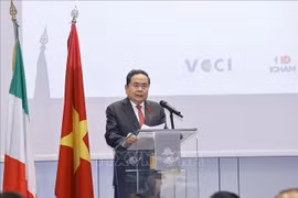 Kết nối doanh nghiệp Việt Nam - Italy: Đòn bẩy cho hợp tác thực chất
