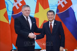 Việt Nam và Slovakia nâng cấp quan hệ lên Đối tác chiến lược