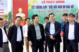Ninh Bình tổ chức Lễ phát động Tết trồng cây Xuân Bính Ngọ 2026 tại 3 điểm