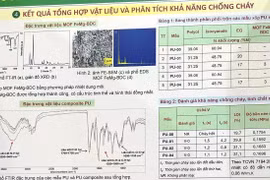Sau kết luận của Bộ Giáo dục và Đào tạo, nghi vấn sao chép về dự án giải Nhất vẫn chưa lắng xuống