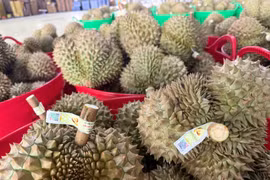 14.000 trái sầu riêng xuất khẩu theo “Luồng xanh” qua cửa khẩu quốc tế Hữu Nghị