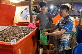Cơ sở phù phép 3.000 tấn thịt ốc 'bẩn' ra thị trường trong suốt 5 năm