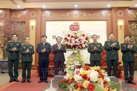 Trưởng Ban Tuyên giáo và Dân vận Trung ương thăm, chúc Tết Quân khu 2