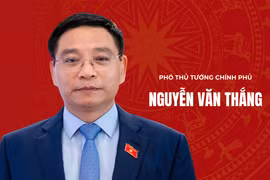 Tiểu sử Phó Thủ tướng Chính phủ Nguyễn Văn Thắng