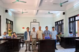 Hủy án sơ thẩm vụ gây thiệt hại hơn 11.000m³ gỗ thông ở Huế