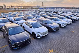 Ô tô nhập khẩu hồi phục, xe lắp ráp trong nước ngược chiều lao dốc