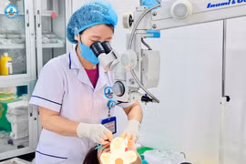 Phát hiện rận mu chi chít trên mí mắt một người phụ nữ