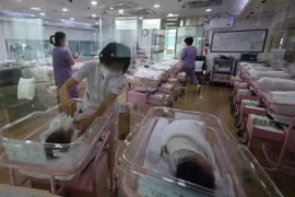 Việt Nam phản đối phát ngôn 'nhập khẩu phụ nữ' của lãnh đạo huyện tại Hàn Quốc