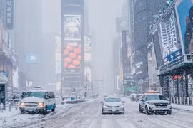 New York đóng giao thông toàn thành phố vì bão tuyết lịch sử