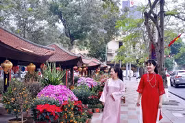 ​Quán hoa Hải Phòng: Nét di sản giữa nhịp sống hiện đại