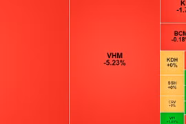 Chứng khoán hôm nay 24/4/2026: VN-Index mất hơn 17 điểm