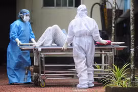 Hiểu đúng về virus Nipah để không hoảng loạn, cũng không chủ quan