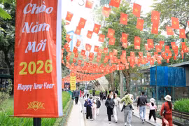 Việt Nam đón 3,5 triệu lượt du khách trong 4 ngày nghỉ Tết Dương lịch 2026