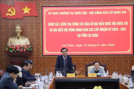 Kiểm tra, giám sát công tác bầu cử tại Lai Châu