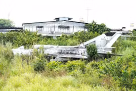 Làm rõ nguồn gốc chiếc MiG-21 bị bỏ không tại Cà Mau
