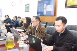 Lạng Sơn: Tập huấn vận hành Hệ thống phần mềm và các công cụ hỗ trợ công tác bầu cử