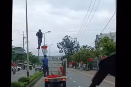Quảng Ngãi: Xác minh clip xe biển số xanh chở người có hành vi “làm xiếc” trên Quốc lộ