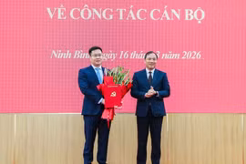Điều động, phân công giữ chức Phó Bí thư Tỉnh ủy Ninh Bình nhiệm kỳ 2025 - 2030
