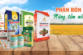 Phân bón Miền Nam đẩy mạnh sản xuất kinh doanh, lập thành tích chào mừng 50 năm thành lập