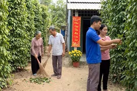 Giá tiêu hôm nay 21/1: Thị trường "đóng băng" trước Tết