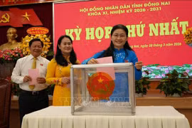 Đồng Nai: Kiện toàn bộ máy lãnh đạo, tạo nền tảng cho nhiệm kỳ mới