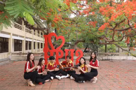 Bằng giả trong giảng đường sư phạm: Vết rạn nghiêm trọng của liêm chính khoa học