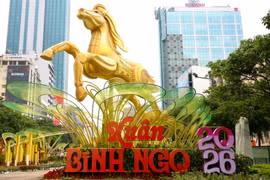 19 giờ tối nay, Đường hoa Nguyễn Huệ chính thức đón khách