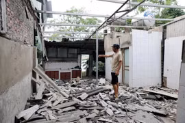 Phú Thọ: Sụt lún, sạt lở đê tả sông Thao gây thiệt hại hơn 2 tỷ đồng