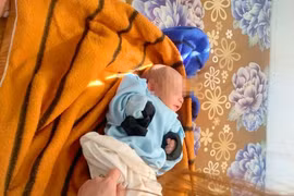 Một bé gái sơ sinh bị bỏ rơi trong rẫy cà phê ở Gia Lai