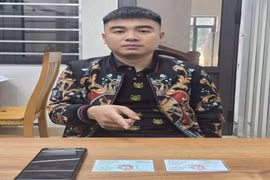 Sử dụng giấy tờ xe ô tô giả để lừa đảo hàng trăm triệu đồng, một đối tượng bị khởi tố