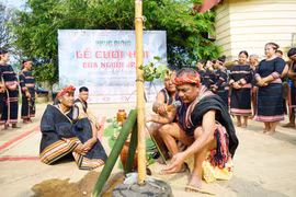 Gia Lai: Hôn lễ người Jrai - khi tình yêu gắn kết với lời hẹn ước cộng đồng