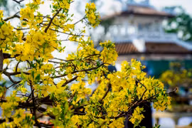Dự báo thời tiết ngày 14/2: Miền Trung tăng nhiệt, ngày nắng