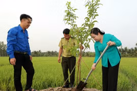 Cần Thơ phát động “Tết trồng cây” năm 2026