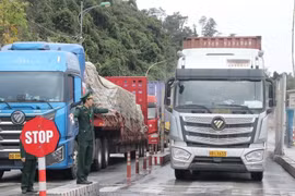Chính phủ quyết nghị tạm dừng áp dụng Nghị định số 46 về an toàn thực phẩm