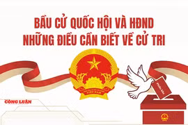 Quyền bầu cử của công dân: Điều kiện và những trường hợp không được ghi tên vào danh sách cử tri