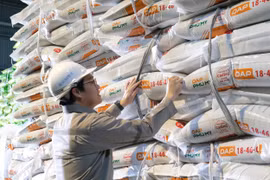 PVFCCo - Phú Mỹ (DPM) đặt kế hoạch tăng trưởng hai chữ số năm 2026