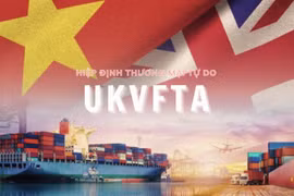 Thủ tướng chỉ định các cơ quan đầu mối triển khai thực hiện Hiệp định UKVFTA