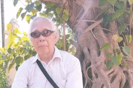 Bính Ngọ với đại lão Phan Quang