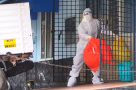 Bác thông tin 'virus Nipah lây lan diện rộng', kiểm tra virus đàn dơi