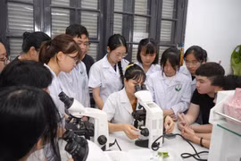 Đại học Dược Hà Nội bổ sung tổ hợp có Tiếng Anh, không quy đổi IELTS khi xét tuyển
